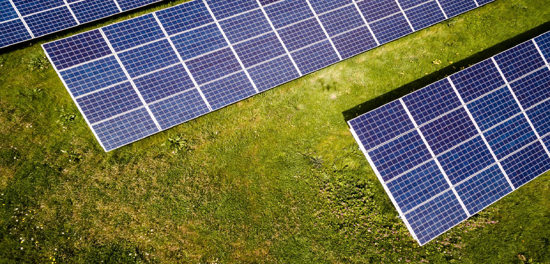 What’s Next for the Infamous Rikers Jail? We Think Solar + Storage
